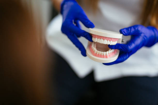Professional  Holistic Dental Services in Monrovia, IN